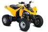 Can-Am DS 250 2013
